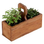 Pflanzenbox Viola | Casamoro.de