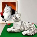 Photo Custom Pet Cat - Taodcr
