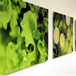 Photo Glued On Aluminum : Fotogeschenk