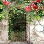 Photo Library Climbing Plants : Gartenposter