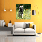 Photo On Canvas : Fotogeschenk