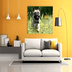 Photo On Canvas | Je Foto Op Canvas