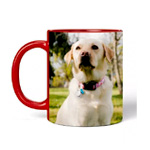 Photo On Mug - Lieblingsfoto.de