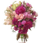 Pink Fairies - Justflowers.com
