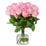 Pink Roses : Regiobloemist 