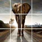 Polyptych Squares - Je-foto-op-canvas.nl
