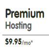 Premium Hosting Only For $9.95