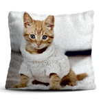 Premium Plush Pillow | Canvasdiscount.com