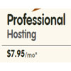Professional Hosting For Just $7.95