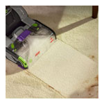 ProHeat 2x Revolution Pet Pro : Bissell.co.uk