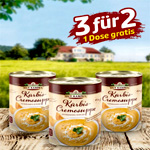 Pumpkin Cream Soup : Jungborn