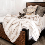 Pupprotector Waterproof Throw Blanket : Paw