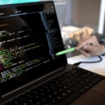 Python 2 Data Visualization Individual Course : TrainingTheStreet