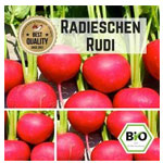 Radishes Seeds : Pepperworldhotshop.com