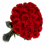 Red Roses : JRRoses