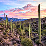 Reserve Flight Denver To Phoenix | BuyMileagePlusmiles