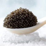 Royal Caviar-Baerii 50g - Kaviar Online