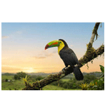 San Jose Costa Rica | Avianca.com