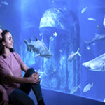 Sea Life London Aquarium | Lovetovisit.com