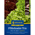 Seed Tape Loose Leaf Lettuce Trio | As-garten.de
