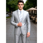 2 Button Shiny Sharkskin Suit : AlligatorWarehouse