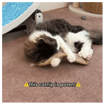 Sisal Catnip Pillow Toy - Kittykickstix.com