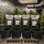 Soil Large Kit - Calisupersoil