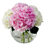 Something Sweet - FlowersAndPlantsCo