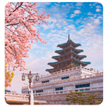 South Korea 10GB 15 Days , Mede.cc