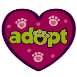 Dog Speak Adopt Sticker : BestDealPetSupply