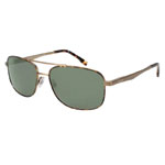 Spring Flex Hinges | Eyedictive