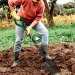Starlyf Root Digger : Jml Direct