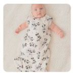 Steamboat Willie Girl : Houseofhenry.co