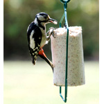 Suet Cake Hanger : Birdfood
