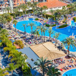 Sun Pelicans Geese - On The Beach