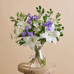 Sun Splash : Freddies Flowers 