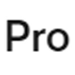 Pro Plan - Veed