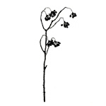 Tall Berry Spray - Funky-chunky-furniture.co.uk