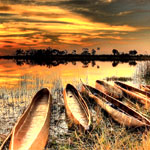 The Best Of Kruger : AfrikaPlus