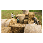 The Fontenille Farm | Boerenbed.be