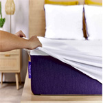 The Mattress Protector : Polysleep