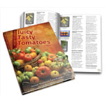 Tomato Book Set - All About Drawings