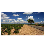 Travel Star Tour | Happycyclingholidays.de