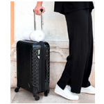 Traveler Tee Pant | Mersea.com