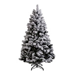 Tree Of The Month - ButlersSK