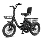 Triker Folding 3 Wheels Electric Bike - Actbest Bike