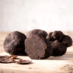 Tuber Melanosporum : TruffleHunter
