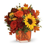 Autumn Arrangement , From You Flowers