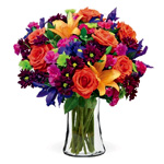 Vibrant Garden | Blooms Today