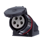 Walther : Eibabo